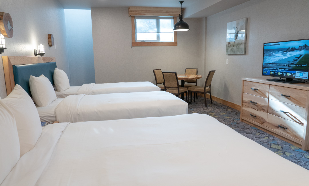 Standard Room - Beds
